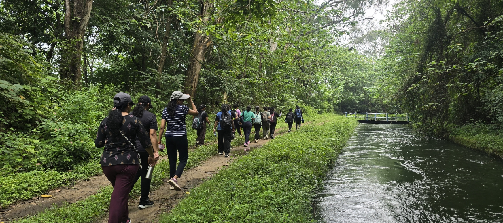 Aliyar Canal Bank Trek: An Easy Forest Trek Near Coimbatore, Pollachi